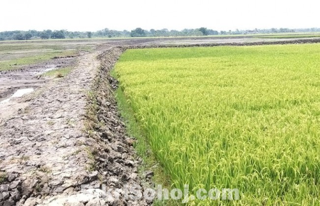 ময়মনসিংহ-ধোবাউড়া মহাসড়কের পাশে আকর্ষণীয় মূল্যে জমি বিক্র‍য়!!